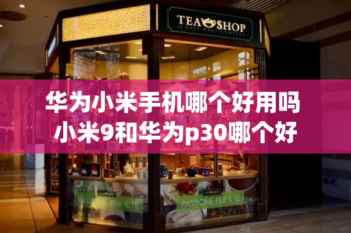 华为小米手机哪个好用吗 小米9和华为p30哪个好-第1张图片-星选测评