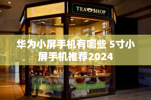 华为小屏手机有哪些 5寸小屏手机推荐2024-第1张图片-星选测评