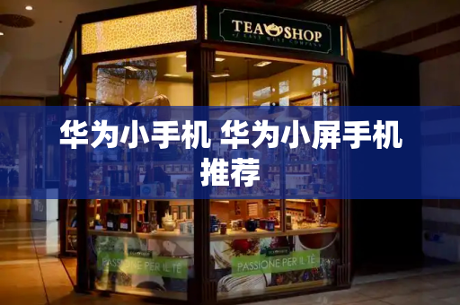 华为小手机 华为小屏手机推荐-第1张图片-星选测评