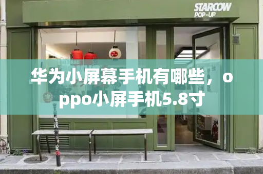 华为小屏幕手机有哪些，oppo小屏手机5.8寸-第1张图片-星选测评