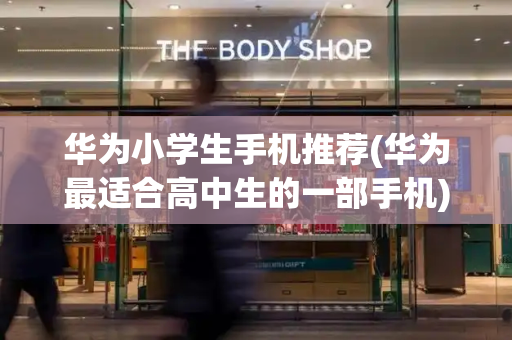 华为小学生手机推荐(华为最适合高中生的一部手机)