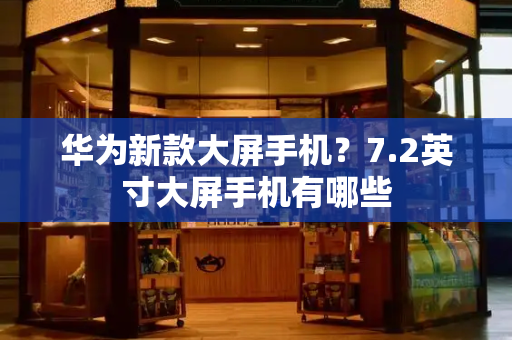 华为新款大屏手机？7.2英寸大屏手机有哪些-第1张图片-星选测评
