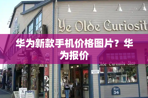 华为新款手机价格图片？华为报价-第1张图片-星选测评
