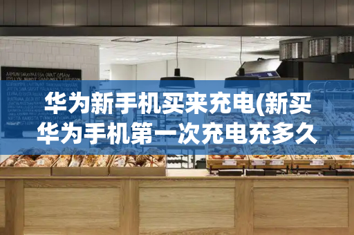 华为新手机买来充电(新买华为手机第一次充电充多久合适)-第1张图片-星选测评