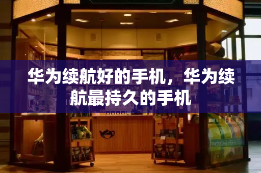 华为续航好的手机，华为续航最持久的手机-第1张图片-星选测评