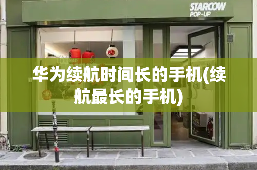 华为续航时间长的手机(续航最长的手机)-第1张图片-星选测评