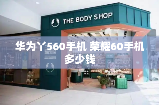华为丫560手机 荣耀60手机多少钱