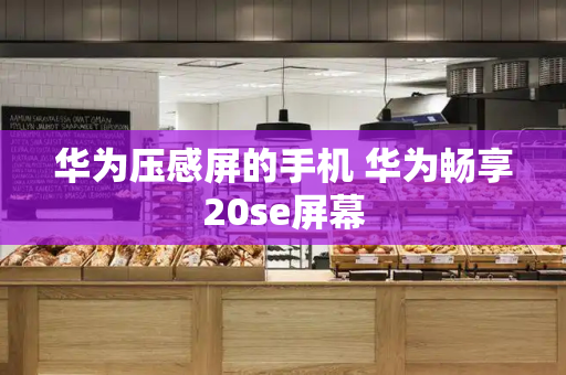 华为压感屏的手机 华为畅享20se屏幕