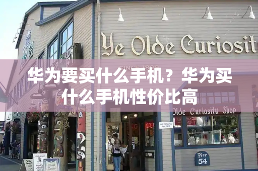 华为要买什么手机？华为买什么手机性价比高-第1张图片-星选测评
