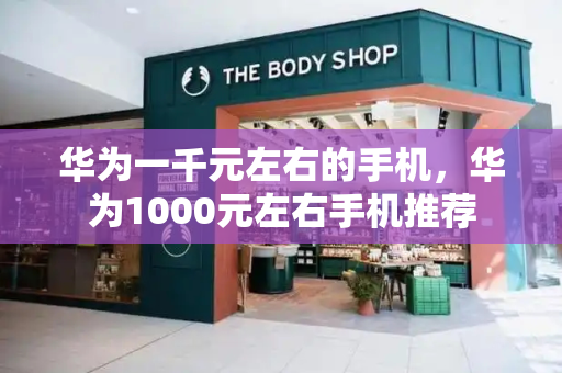华为一千元左右的手机，华为1000元左右手机推荐-第1张图片-星选测评