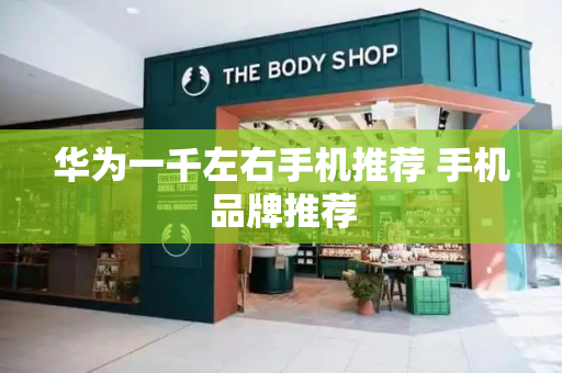 华为一千左右手机推荐 手机品牌推荐