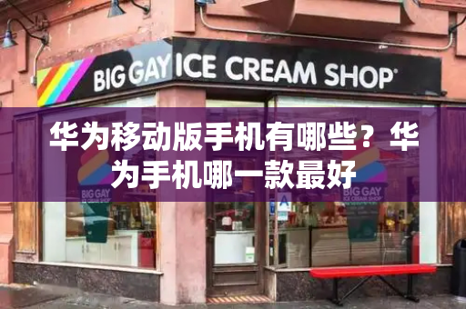 华为移动版手机有哪些？华为手机哪一款最好-第1张图片-星选测评