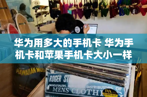 华为用多大的手机卡 华为手机卡和苹果手机卡大小一样吗-第1张图片-星选测评