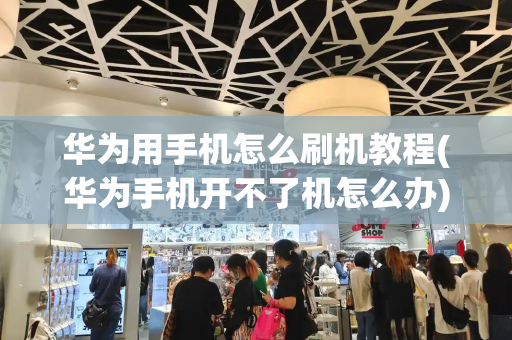 华为用手机怎么刷机教程(华为手机开不了机怎么办)-第1张图片-星选测评