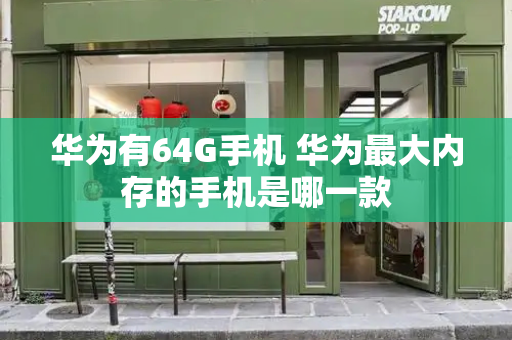 华为有64G手机 华为最大内存的手机是哪一款-第1张图片-星选测评