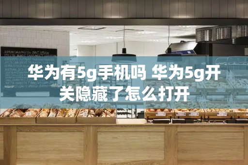 华为有5g手机吗 华为5g开关隐藏了怎么打开-第1张图片-星选测评