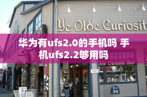 华为有ufs2.0的手机吗 手机ufs2.2够用吗-第1张图片-星选测评