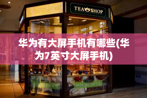 华为有大屏手机有哪些(华为7英寸大屏手机)-第1张图片-星选测评