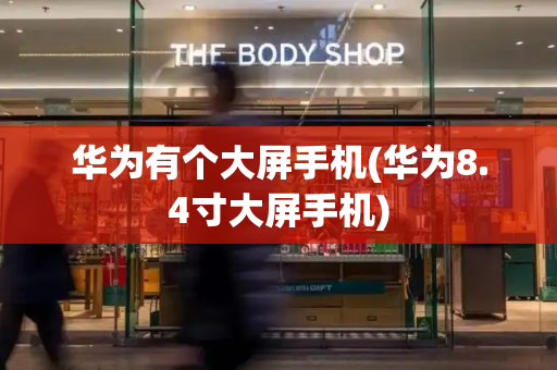 华为有个大屏手机(华为8.4寸大屏手机)-第1张图片-星选测评