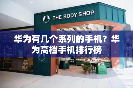华为有几个系列的手机？华为高档手机排行榜-第1张图片-星选测评