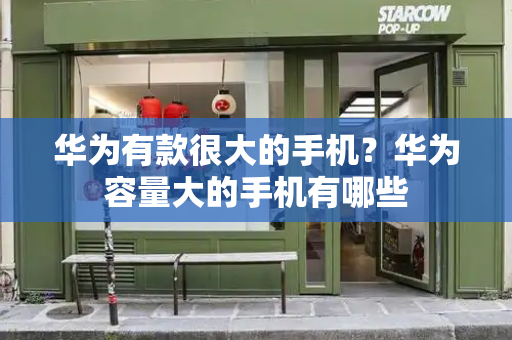 华为有款很大的手机？华为容量大的手机有哪些