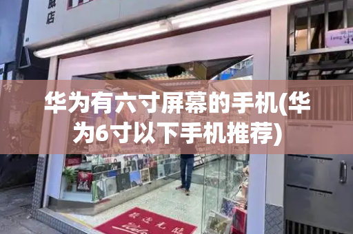 华为有六寸屏幕的手机(华为6寸以下手机推荐)