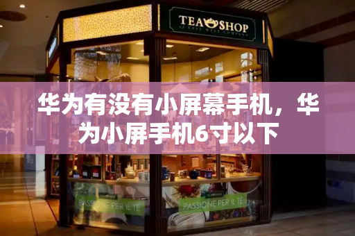 华为有没有小屏幕手机，华为小屏手机6寸以下-第1张图片-星选测评