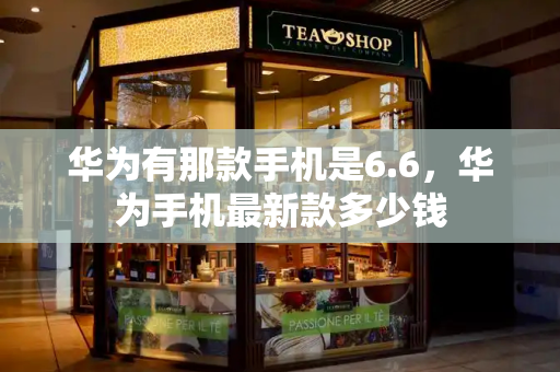 华为有那款手机是6.6，华为手机最新款多少钱-第1张图片-星选测评