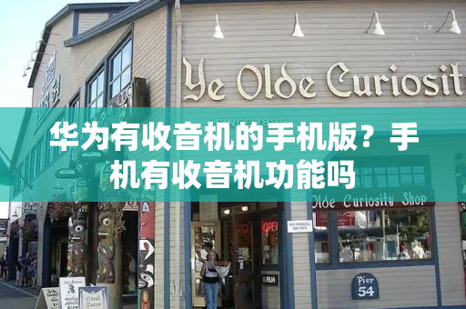 华为有收音机的手机版？手机有收音机功能吗-第1张图片-星选测评
