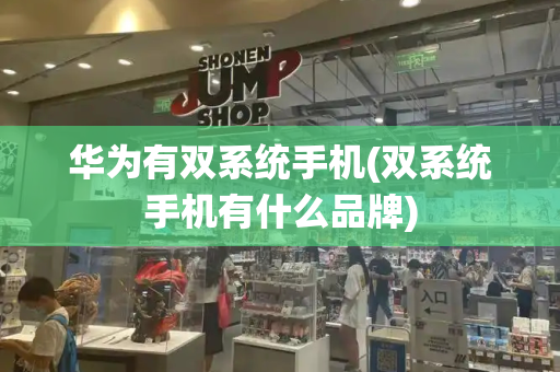 华为有双系统手机(双系统手机有什么品牌)-第1张图片-星选测评