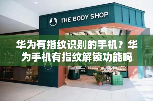 华为有指纹识别的手机？华为手机有指纹解锁功能吗-第1张图片-星选测评