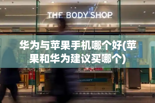 华为与苹果手机哪个好(苹果和华为建议买哪个)-第1张图片-星选测评