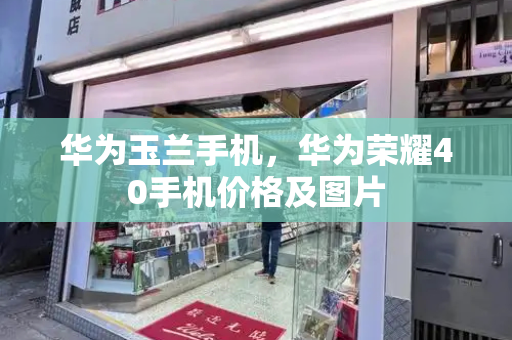华为玉兰手机，华为荣耀40手机价格及图片-第1张图片-星选测评