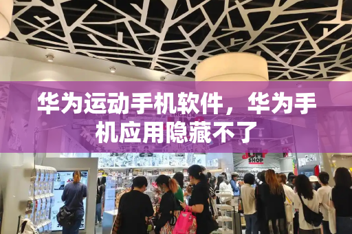 华为运动手机软件，华为手机应用隐藏不了