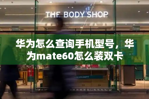 华为怎么查询手机型号，华为mate60怎么装双卡-第1张图片-星选测评