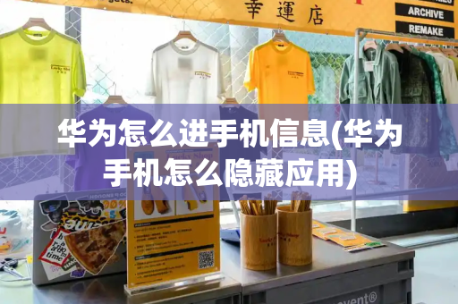 华为怎么进手机信息(华为手机怎么隐藏应用)-第1张图片-星选测评