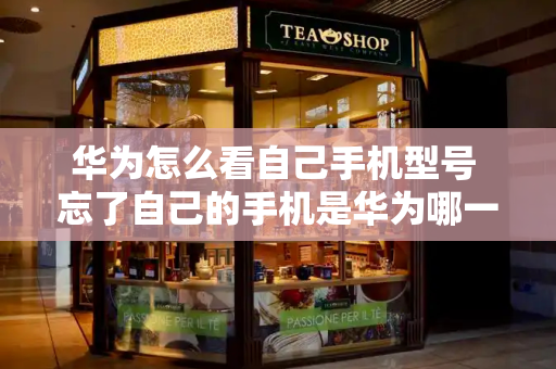 华为怎么看自己手机型号 忘了自己的手机是华为哪一款-第1张图片-星选测评