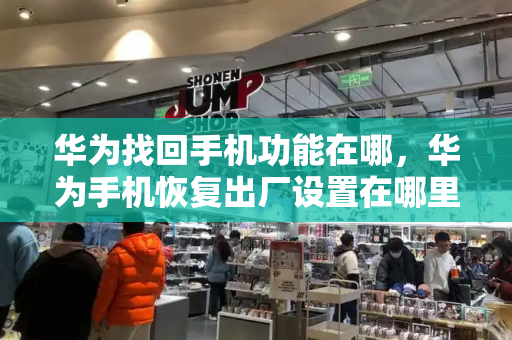 华为找回手机功能在哪，华为手机恢复出厂设置在哪里