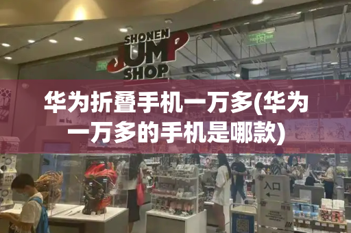 华为折叠手机一万多(华为一万多的手机是哪款)-第1张图片-星选测评