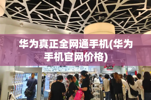 华为真正全网通手机(华为手机官网价格)-第1张图片-星选测评