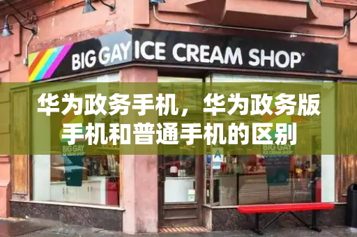 华为政务手机，华为政务版手机和普通手机的区别-第1张图片-星选测评