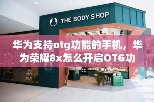 华为支持otg功能的手机，华为荣耀8x怎么开启OTG功能