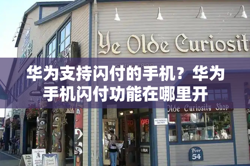 华为支持闪付的手机？华为手机闪付功能在哪里开-第1张图片-星选测评