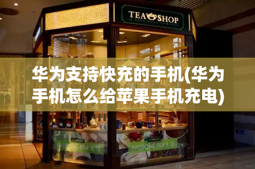 华为支持快充的手机(华为手机怎么给苹果手机充电)-第1张图片-星选测评
