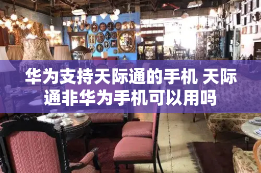 华为支持天际通的手机 天际通非华为手机可以用吗-第1张图片-星选测评