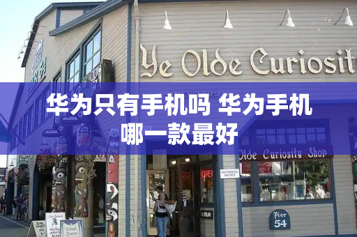 华为只有手机吗 华为手机哪一款最好