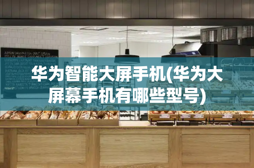 华为智能大屏手机(华为大屏幕手机有哪些型号)