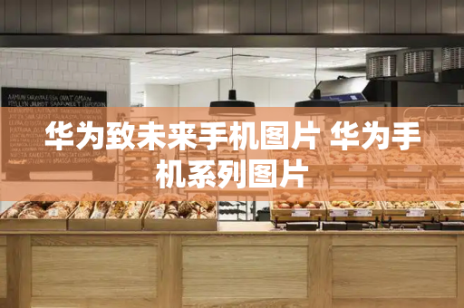 华为致未来手机图片 华为手机系列图片
