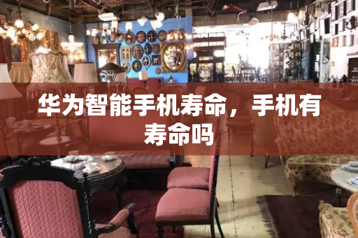 华为智能手机寿命，手机有寿命吗-第1张图片-星选测评