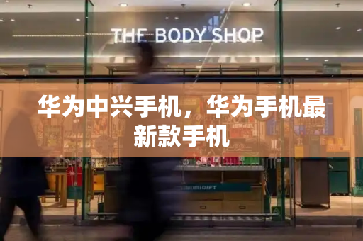 华为中兴手机，华为手机最新款手机-第1张图片-星选测评